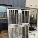 누리켄넬 이미지