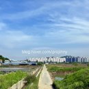경기둘레길 김포58코스 | 경기둘레길 58코스 (김포) 약8.5km
