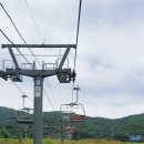 웰리힐리파크 루지파크 이미지