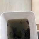 구미세제 | [구미에어컨청소후기]오브제타워에어컨 분해청소