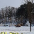캠프인디오 이미지