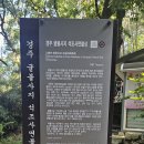 이불나라. 길목 | 360도 서라운드 부처님을 보고 싶다면 여기로 오시라 — 경주 굴불사지