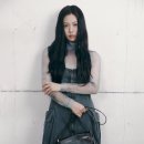분크 이미지