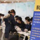 플레르망고