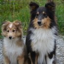 24시 센텀동물메디컬센터 연산점 이미지