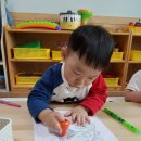 라엘동물병원 이미지