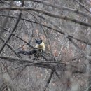 화당2리 이미지