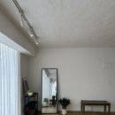 모드니여행사 | 청담 플레브아뜰리에 본식 드레스 피팅 후기(계약O)