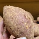 주식회사 더 샘터 | 샘터 황토 꿀고구마 에어프라이어 군고구마 달달한 맛있는고구마 후기