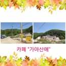 가야산애