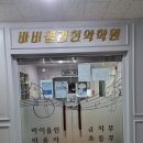바비첼음악학원 - 김해시 내외로95번길 7 | 바비첼음악학원