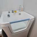 토실이네 애견 이미지