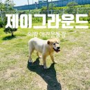 제이환경 | [애견단독운동장] 의왕 제이그라운드 방문 후기