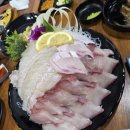 정희수산 | 평택 이충동 정희수산, 서정리 겨울 제철 대방어 맛집 후기