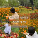 아산시-2006-002 | 천안아산가볼만한곳, 5월 백만송이봄꽃축제 튤립명소 아산피나클랜드 수목원 할인꿀팁 포토존 불꽃축제...