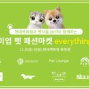 펫스타일 이미지