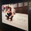 국립민속박물관 《요물, 우리를 홀린 고양이》 전시회 고양이탐정 인터뷰