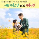 새롬프라자 2차 | 천안 야외 가족스냅 아산 코스모스밭 실외 가족사진 촬영 후기