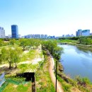 안양천 산책로 이미지