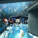 오조리bnb 이미지