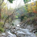 팔각정옆(7번) 이미지