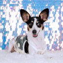 항상봄처럼 스튜디오 이미지