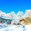 마곡사힐링마을민박 | 충남 공주 여행 "이래서 10경 중 최고구나" 설경에 압도되는 천년 고찰 마곡사 겨울 풍경
