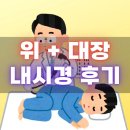 탄방포도알약국 | 대장내시경 위내시경 동시 검사 후기 - 수면 용종 제거
