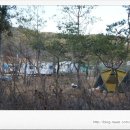 &lt;후기&gt;왕산 오토 캠핑장으로