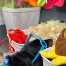 장자호수공원(반려견놀이터) 이미지