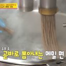 영월천하장사의집 이미지