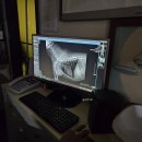Love My Pet 동물병원 | 강아지 건강검진 후기(2살 푸들) | 신영통동물병원 혈액검사·X-ray·슬개골결과