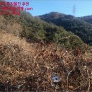 대현리경로당 이미지