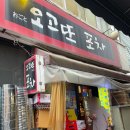 포차세상에이런집이 | 종로 야장 추천 막회 맛집 오고또포차 내돈내산 후기