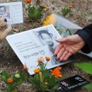 (주)정인 이미지