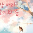 꽃아줌마 이미지