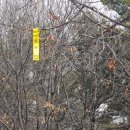 판암동163 이미지