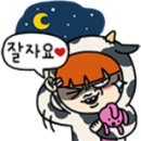 로마(Rome) 이미지