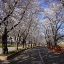 화이트스톤 골프연습장 이미지