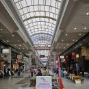 777오락실 | [마쓰야마 7박8일-2일차]자유여행/고이치본점.마쓰야마성,후지그랜드,오락실, 닭껍질꼬치