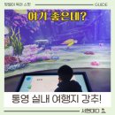 수산과학관 | 통영수산과학관 후기 비올 때 아이랑 가기 좋은 통영 실내 여행지