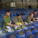 성도유통 이미지