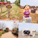 무안황토갯벌랜드 전시실 이미지