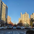 구리시체육관 | 구리 멀티스포츠센터 자유수영 후기