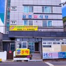 거제 일운면 횟집 근처 내돈내산 유경회식당 후기