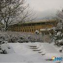 엘림인력 이미지
