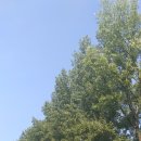 형제농장B 이미지