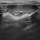 다산아이동물병원 이미지