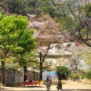 초등 5,6학년이 꼭 알아야 할 미국교과서 영단어/독해(영어로 배워요) step1 | 7세 영어 시작 전 꼭 알아야 할 대치동 빅3 스타일 로드맵 &amp; 교재 추천