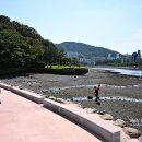 선소체육공원 이미지